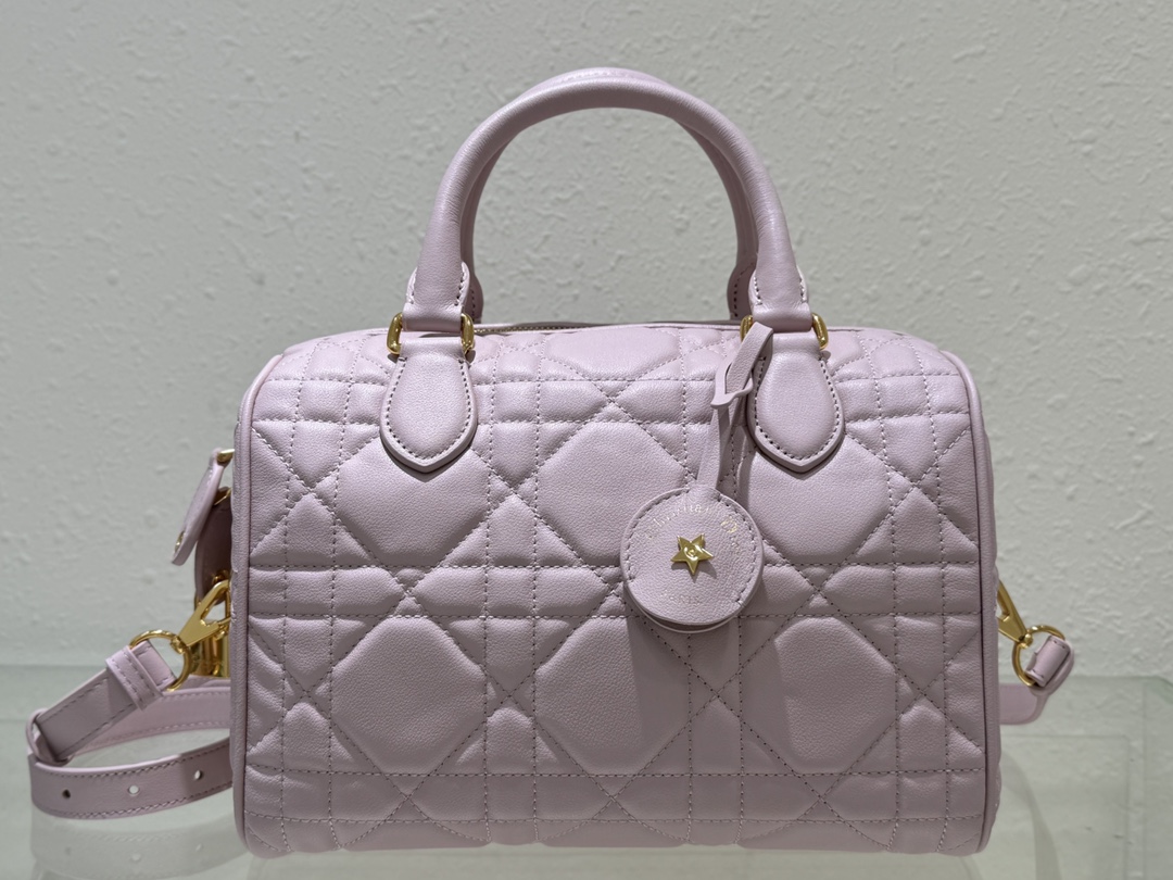 Dior Groove 25 Bag Pale Pink Macrocannage Calfskin